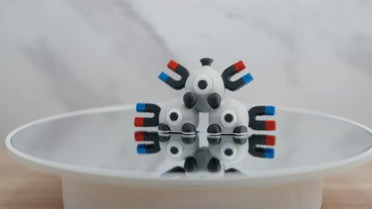 Mini Magneton